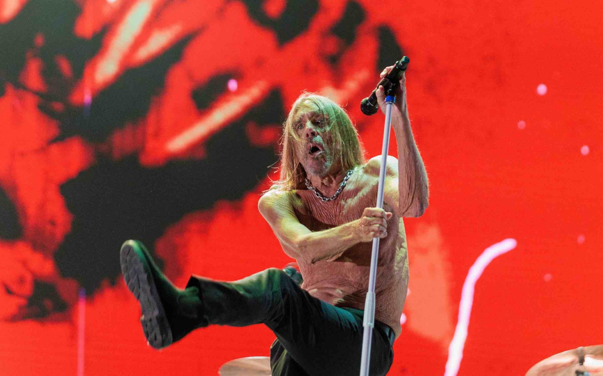 Iggy Pop continua furioso