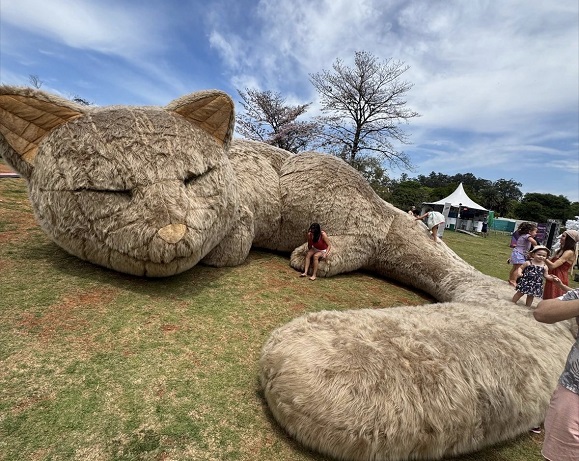 Arte Urbana e Adoção de Pets tem ação gratuita