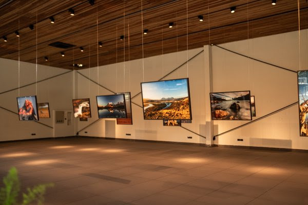 Exposição Felipe Cuoco